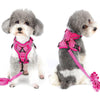 PurrfectPaws Escape-Proof Cat & Dog Harness Set Adjustable, Reflective, Durable - Ideal for Cats, Small Dogs - Outdoor Safety