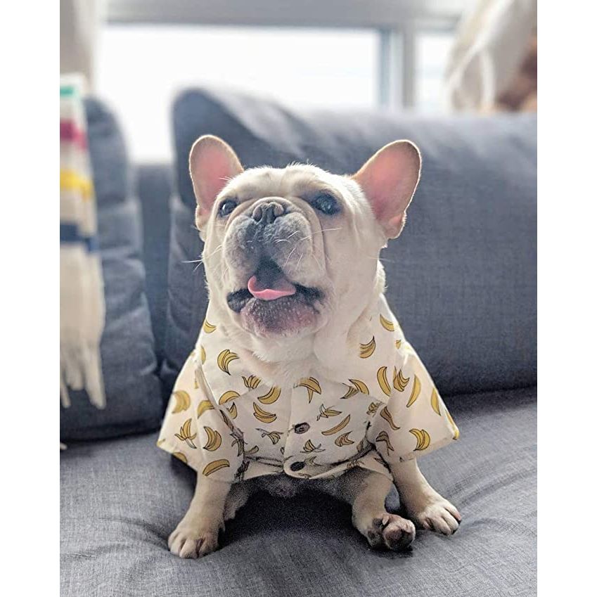 "Stylish Hawaiian-inspired dog shirt for spring - SpringPaws™ Aloha Shirt"