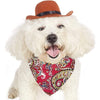 "Fashionable Pet Accessory: Dress Your Dog or Cat in a Charming Cowboy Hat"