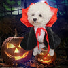 Halloween Pet Costume - Transform Your Pet into a Vampire.