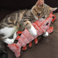 Interactive Lobster Pounce-N-Play: Fun cat and dog toy with USB charging, realistic design, and catnip compatibility.