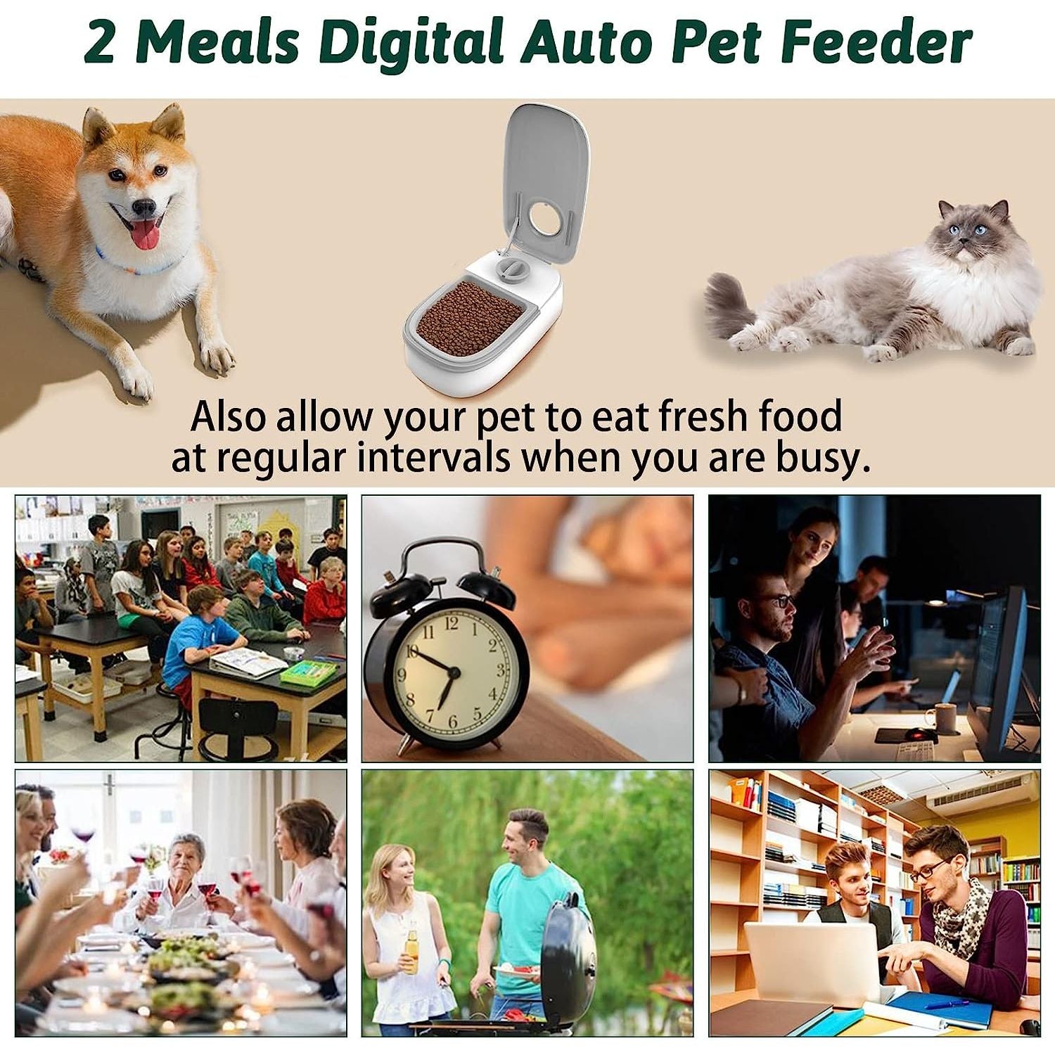 PawFeed Pro™ - The Smart Automatic Pet Feeder