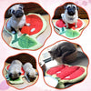 CoolPaws Chill Fruit Mat: Self-Cooling Pet Pad for Summer, Portable and Safe, Small-Medium Pets, Ice Silk Fabric