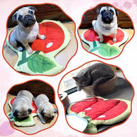 CoolPaws Chill Fruit Mat: Self-Cooling Pet Pad for Summer, Portable and Safe, Small-Medium Pets, Ice Silk Fabric