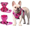 PurrfectPaws Escape-Proof Cat & Dog Harness Set Adjustable, Reflective, Durable - Ideal for Cats, Small Dogs - Outdoor Safety