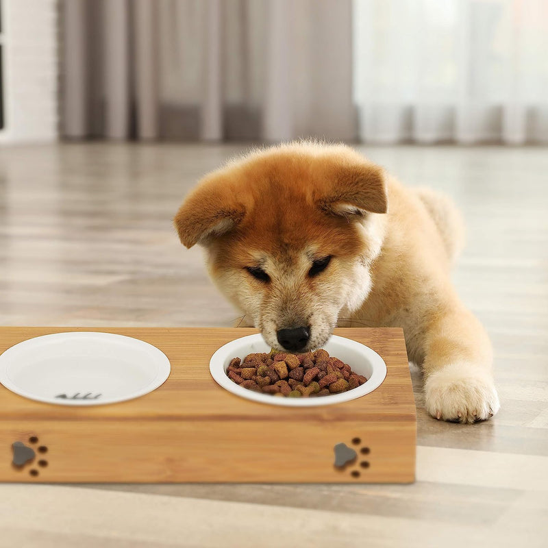 BambooPaws Pet Feast Station: Elevated bamboo frame  promoting healthy digestion and stylish dining for pets.