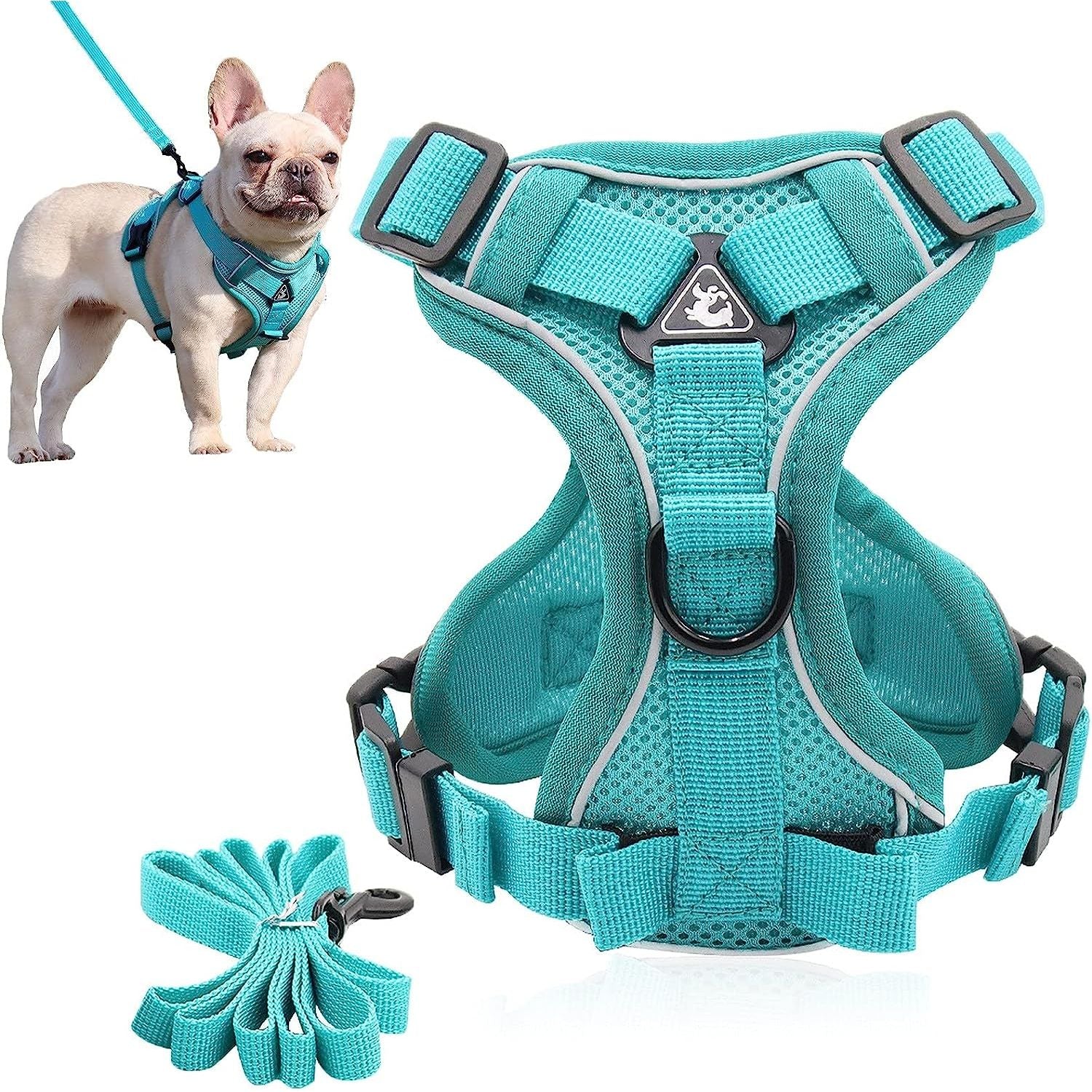 PurrfectPaws Escape-Proof Cat & Dog Harness Set Adjustable, Reflective, Durable - Ideal for Cats, Small Dogs - Outdoor Safety