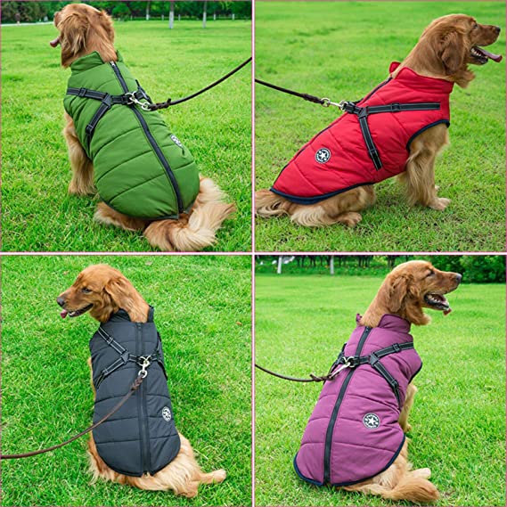 PetChic™Vest - The Perfect Blend of Fashion and Function for Your Pet.