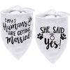 "Get picture-perfect memories with Pawfect ™The Bandana Dog Wedding Collection"