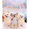 Dog Party Cake Bib and Hat Set - Fun and Cute Pet Birthday Party Accessories