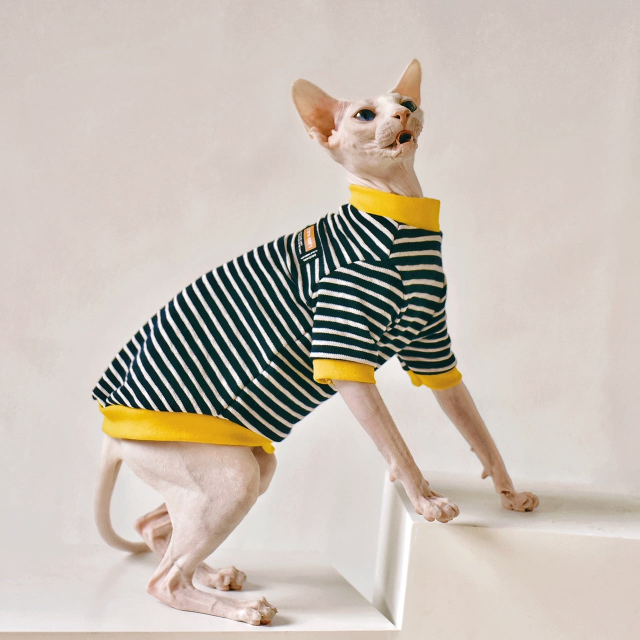 Trendy and practical clothing options for your beloved hairless cat - Fuzz Free™.