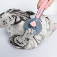 PurrfectClean™ Brush: Effortless pet grooming with self-cleaning feature, gentle bristles, and ergonomic design. 