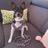 Flower Paws Harmony Set - Stylish Floral Dog Collar, Harness, and Leash for Comfortable Walks