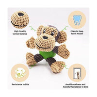 Quality interactive plush toy with teeth-cleaning benefits - PawPals™ Squeak Chew Plush.