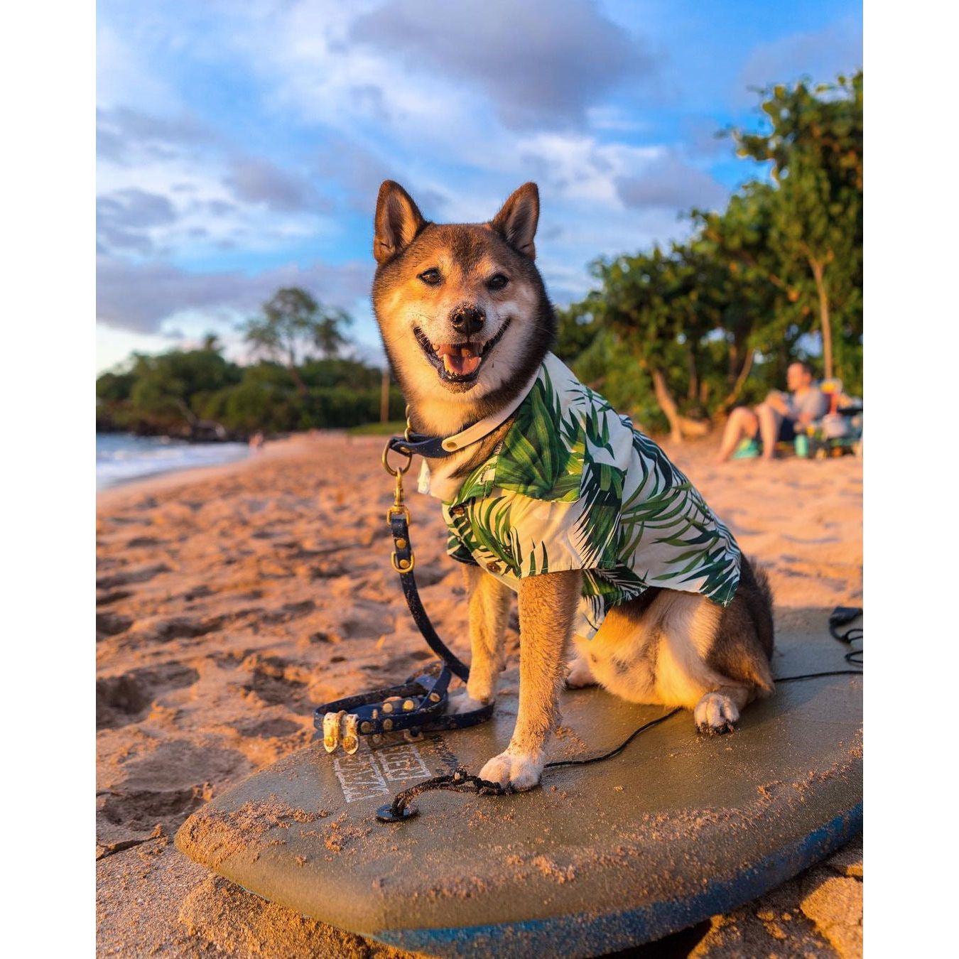 "Stylish Hawaiian-inspired dog shirt for spring - SpringPaws™ Aloha Shirt"