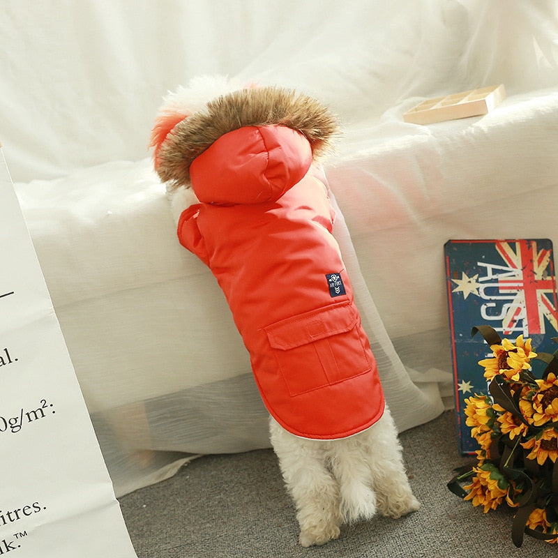  "PawShield™ Arctic Aviator Jacket - Stylish and Warm Dog Winter Coat - Air Force Style - Hooded Puffer Jacket"