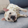 "Stylish Hawaiian-inspired dog shirt for spring - SpringPaws™ Aloha Shirt"