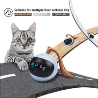 ColorPounce Interactive LED Cat Rotating Ball - Engaging, Durable, USB Rechargeable Toy