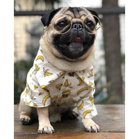 "Stylish Hawaiian-inspired dog shirt for spring - SpringPaws™ Aloha Shirt"