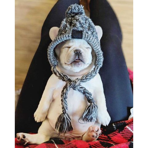 Shop the Pup-Cozy™ Beanie: Perfect Winter Accessory for Dogs.