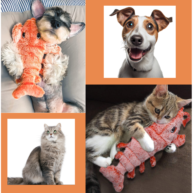 Interactive Lobster Pounce-N-Play: Fun cat and dog toy with USB charging, realistic design, and catnip compatibility.