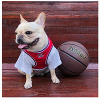 SportyPaws™ Performance Mesh Jersey Vest - Breathable Dog/Cat Apparel with Jordan 23 Design - Stylish & Comfortable!