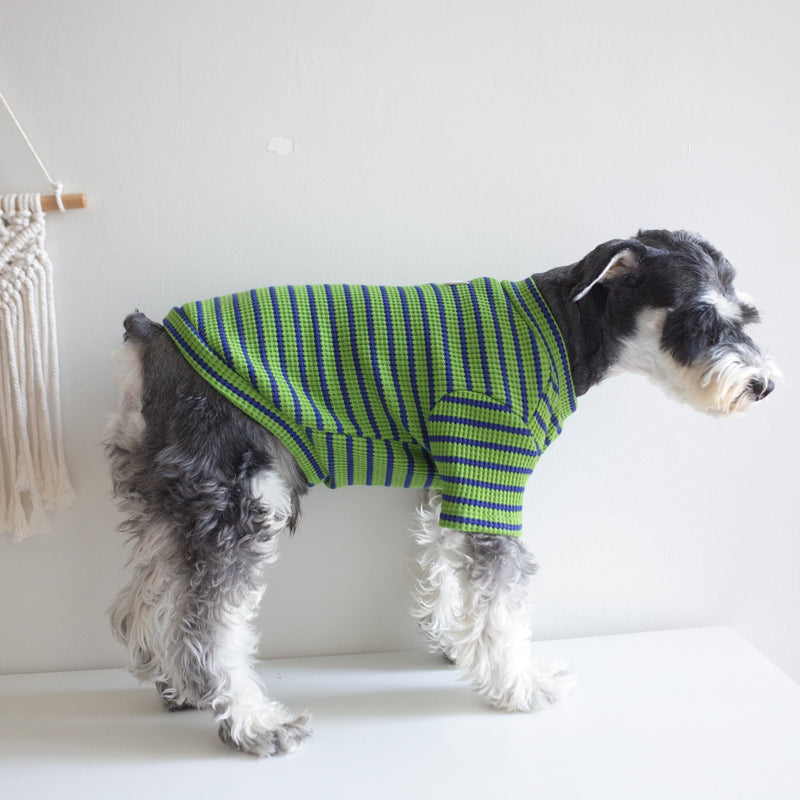 "Stylish Green and Blue Dog Waffle Stripe Shirt - Comfortable and Trendy Pet Apparel"