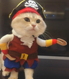 Adorable Pet Pirate Clothes - PiratePooch™ Suit.