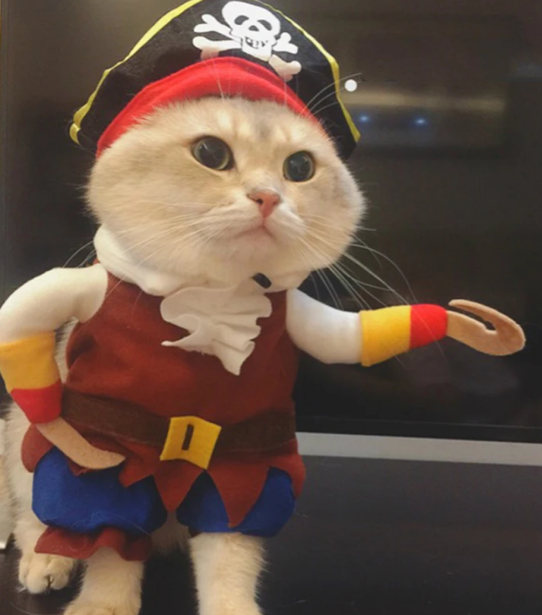 Adorable Pet Pirate Clothes - PiratePooch™ Suit.