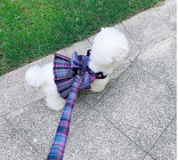 Shop Pawsome™ Vest & Leash Combo: Safe & Trendy Pet Fashion.