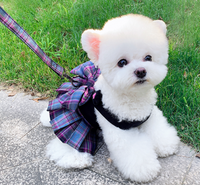 Shop Pawsome™ Vest & Leash Combo: Safe & Trendy Pet Fashion.