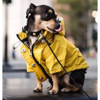 RetroRuff ™Raincoat: Classic Look with Modern Waterproof Performance