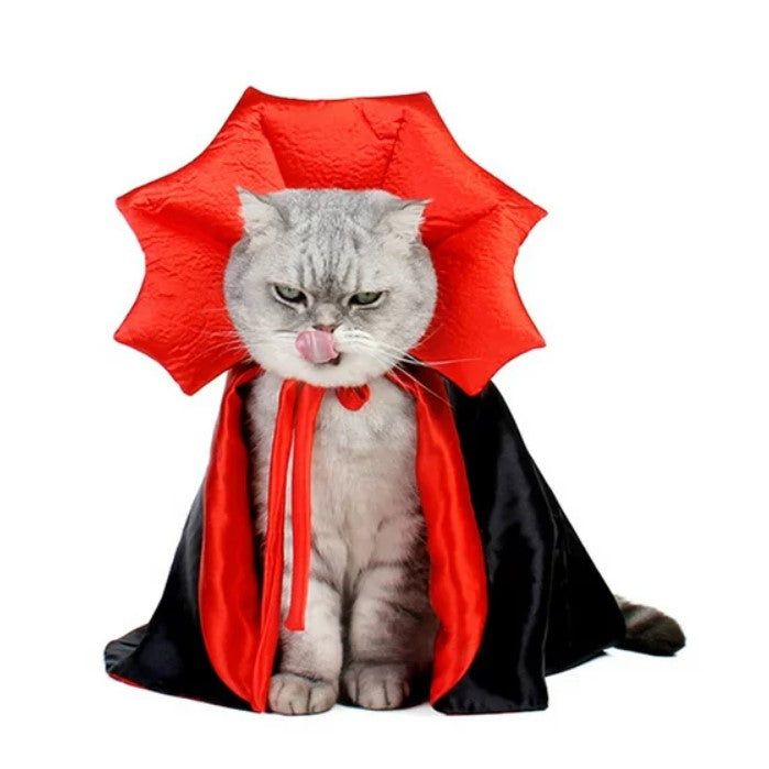 Halloween Pet Costume - Transform Your Pet into a Vampire.