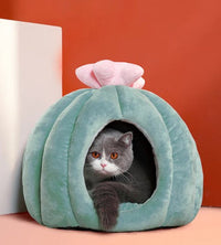 Cactus Cat Bed