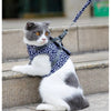 "Premium Quality Cat Vest and Collar Combo for Feline Comfort - CozyCat™"