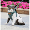 "Premium Quality Cat Vest and Collar Combo for Feline Comfort - CozyCat™"