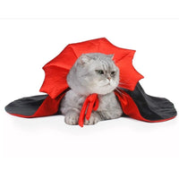 Halloween Pet Costume - Transform Your Pet into a Vampire.