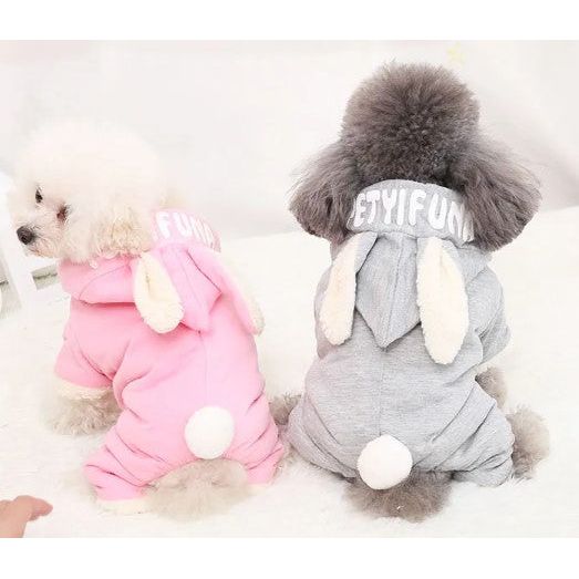 Winter Must-Have: RabbitSnug™ Dog Hoodie with Cute Bunny Design.