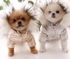 PawWarm™ CozyCanine Jacket: Stylish winter wear for dogs.