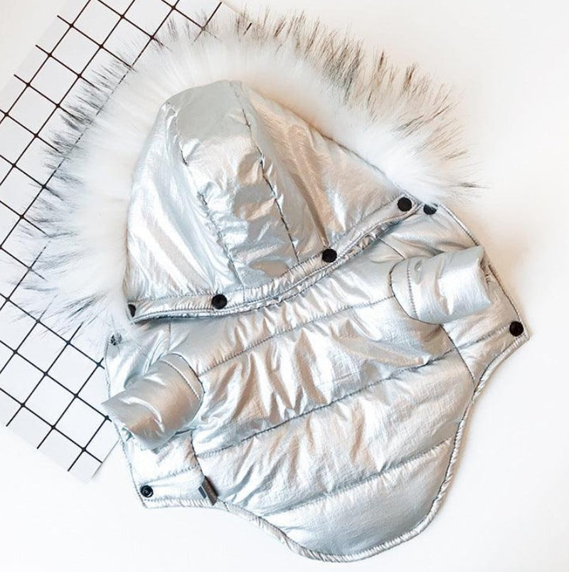 PawWarm™ CozyCanine Jacket: Stylish winter wear for dogs.