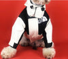 WinterGuard Dog Jacket: Trendy and Waterproof.