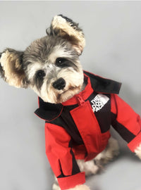 WinterGuard Dog Jacket: Trendy and Waterproof.