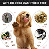 PawSpa Pet CleanPaws: Portable Dog Paw Cleaner - Mud, Dirt, and Sand Remover - Easy to Use and Clean - Durable Silicone 