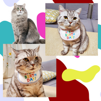 PartyPaws™ Bibtastic: Stylish pet bib  in blue and pink for birthdays and holidays.