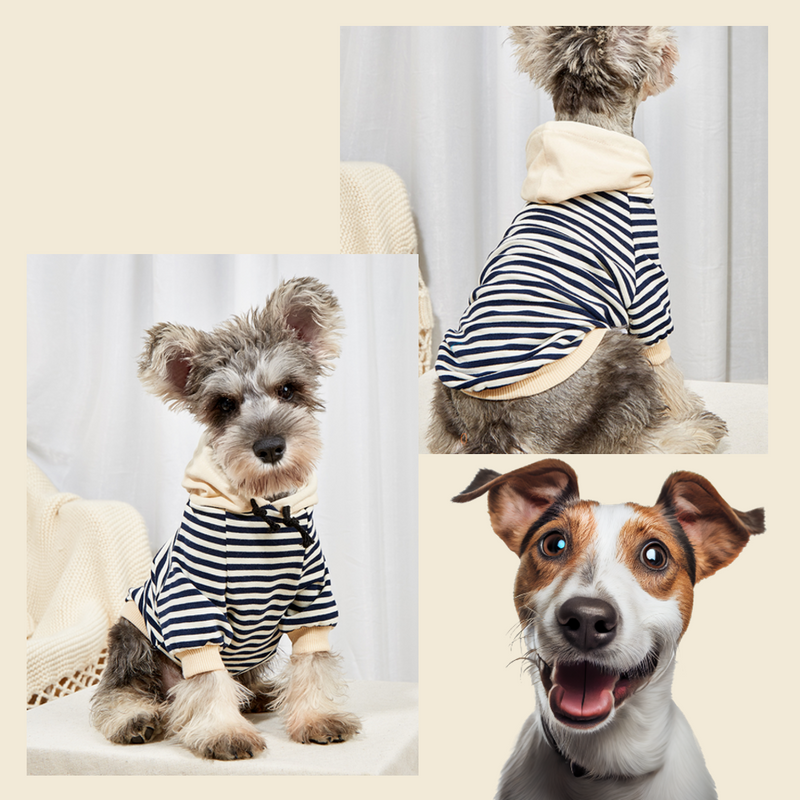 PawfectStripe™ Hoodie: Stylish Pet Fashion for Comfy Adventures!