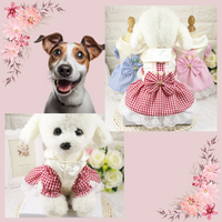 Fashionable dog clothes with a touch of British elegance - Pawlished™ Plaid Pupwear.