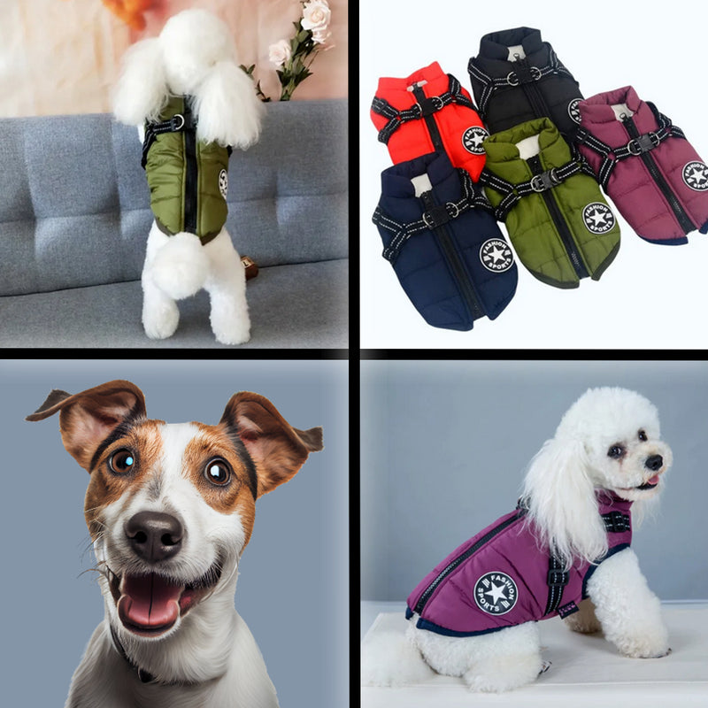 PetChic™Vest - The Perfect Blend of Fashion and Function for Your Pet.