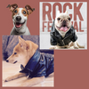 Stay stylish in any weather with PetSkins™ - leather jackets for pets.