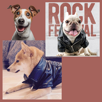 Stay stylish in any weather with PetSkins™ - leather jackets for pets.