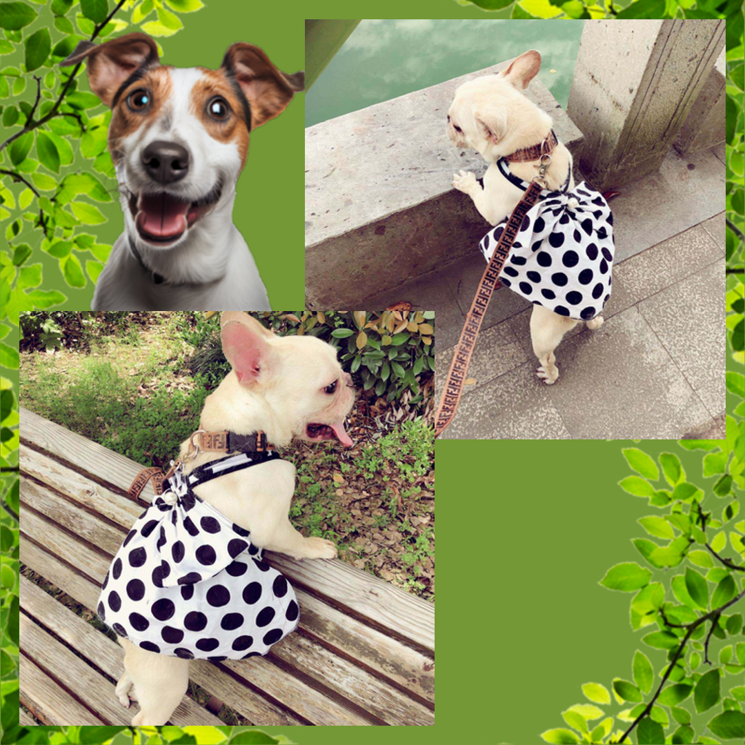 PupCouture Black Dot Bow Dress - Stylish and Cute Dog Dress for Small Dogs - Polyester Material - Perfect for Summer Fashion